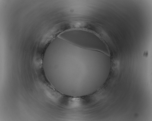 X0000111240324200907091406