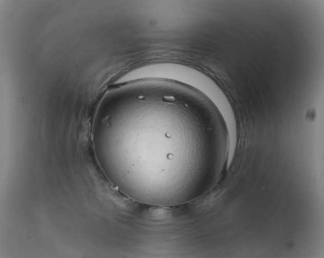 X0000111240325200907091406