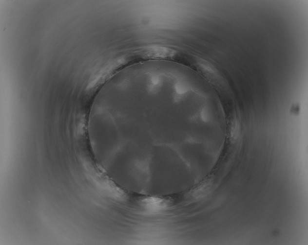 X0000111240326200907091405