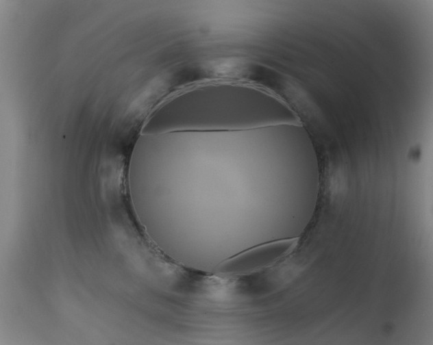 X0000111240328200907091405