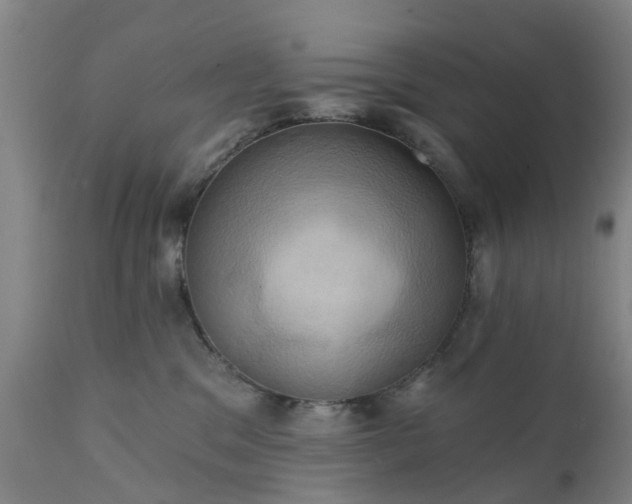 X0000111240329200907091405