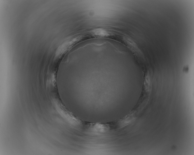 X0000111240330200907091405