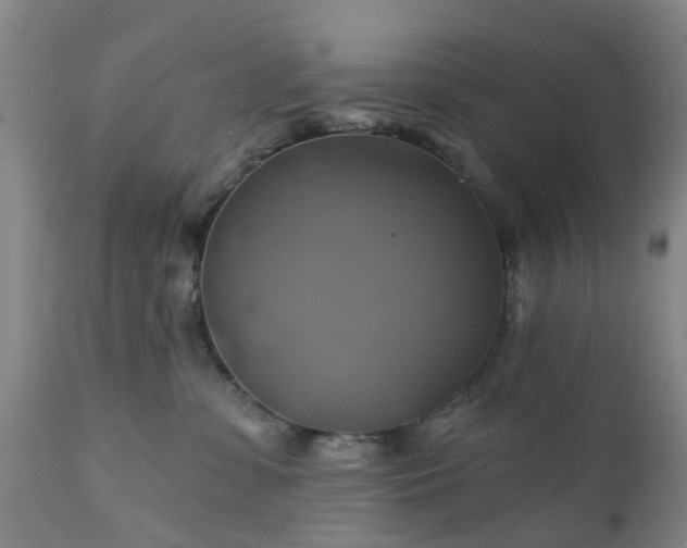 X0000111240331200907091405