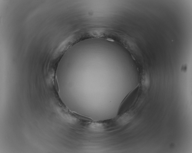 X0000111240332200907091405