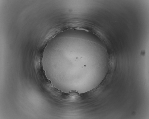 X0000111240333200907091405