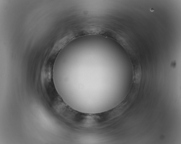 X0000111240334200907091405