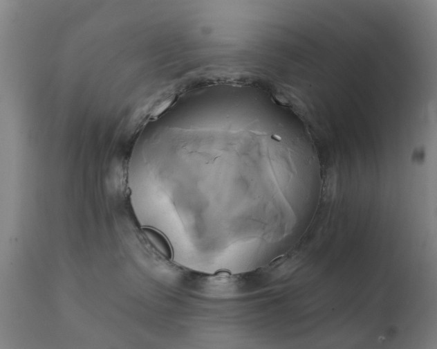 X0000111240335200907091405