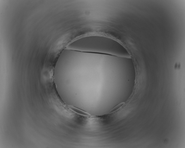 X0000111240336200907091405