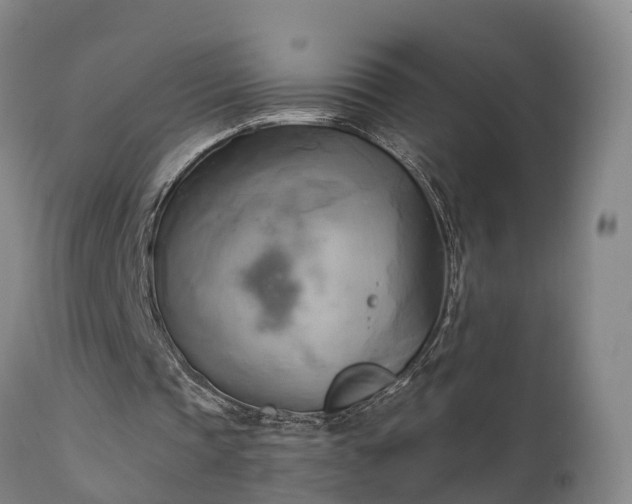 X0000111240337200907091405