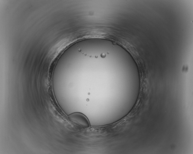 X0000111240338200907091405