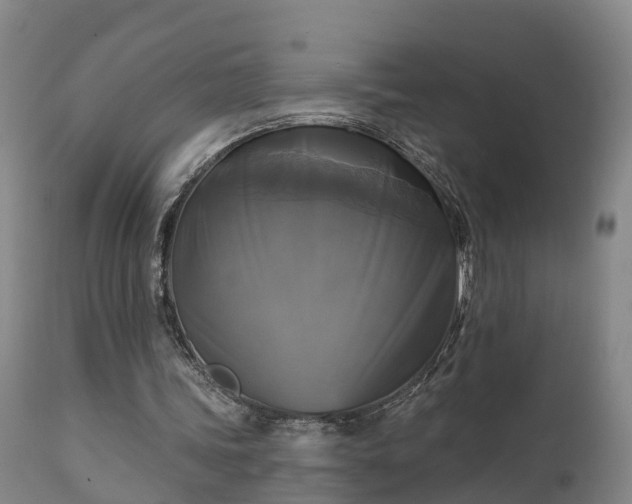 X0000111240339200907091405