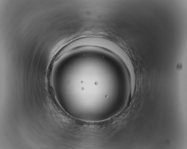 X0000111240340200907091405