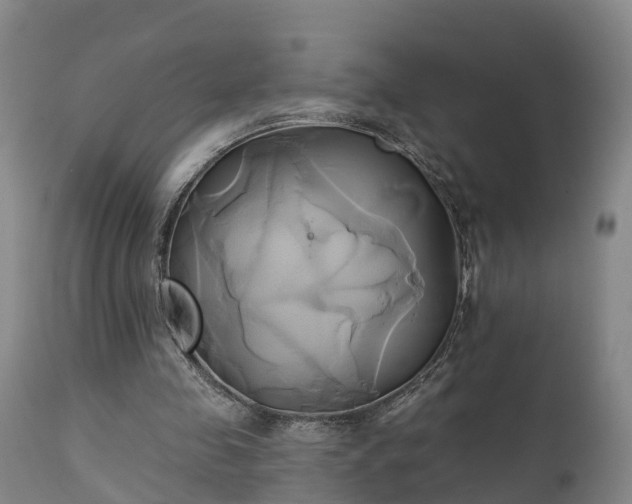 X0000111240341200907091405