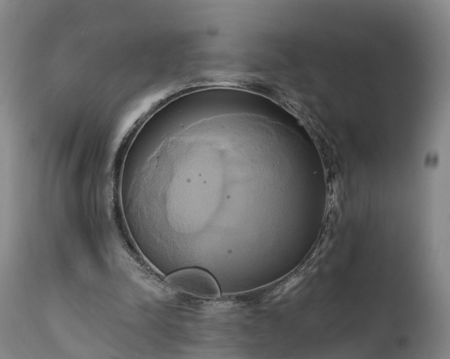 X0000111240342200907091405