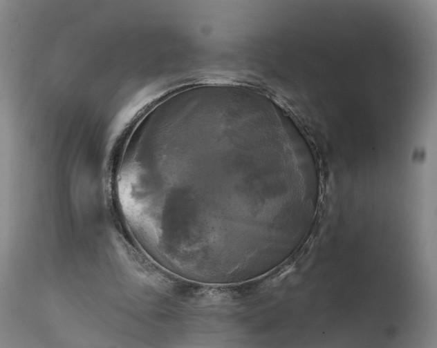 X0000111240343200907091405