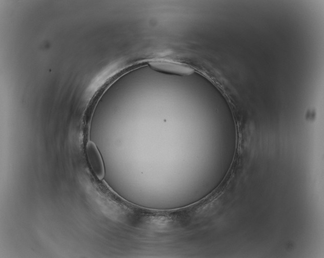 X0000111240344200907091405