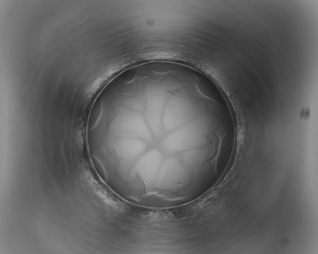 X0000111240345200907091405