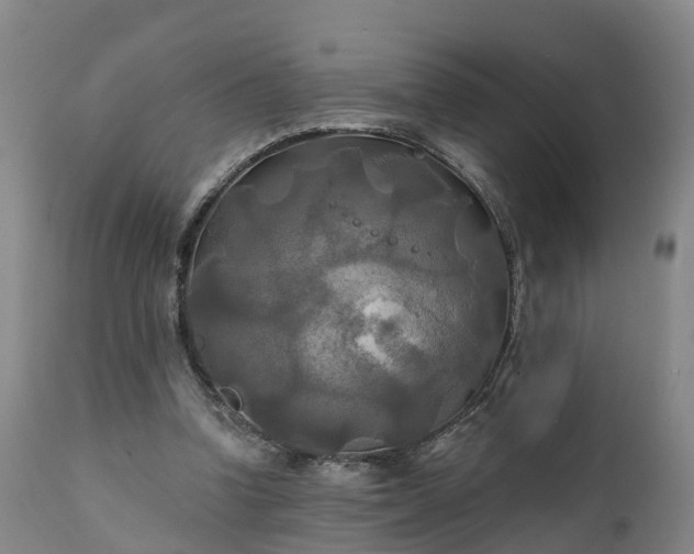 X0000111240346200907091405