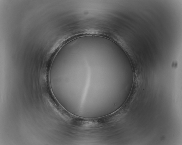 X0000111240347200907091405