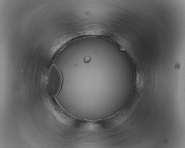 X0000111240348200907091405