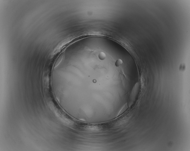 X0000111240349200907091405