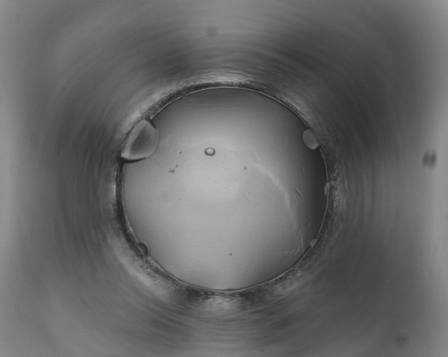 X0000111240350200907091405