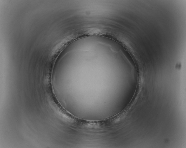 X0000111240353200907091405