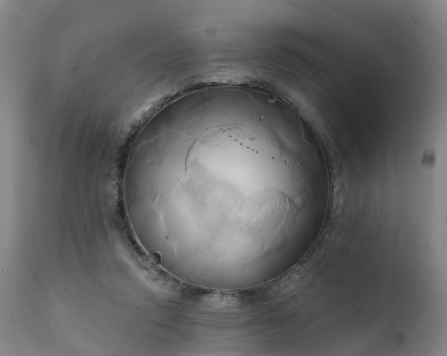 X0000111240354200907091405