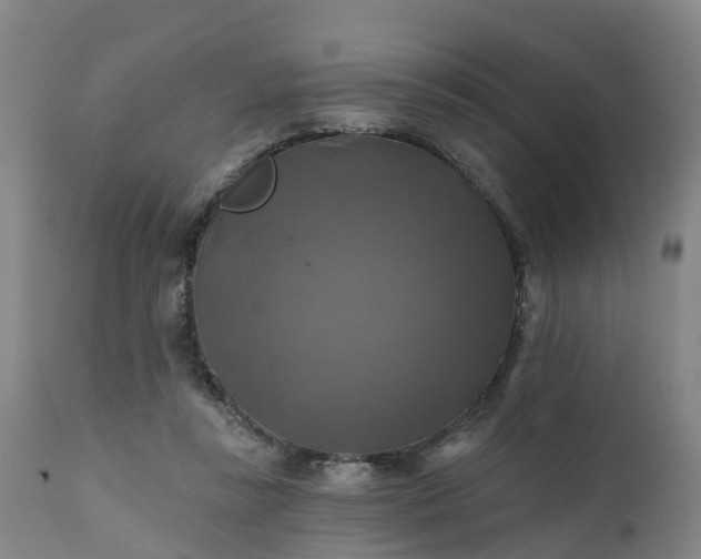 X0000111240355200907091405