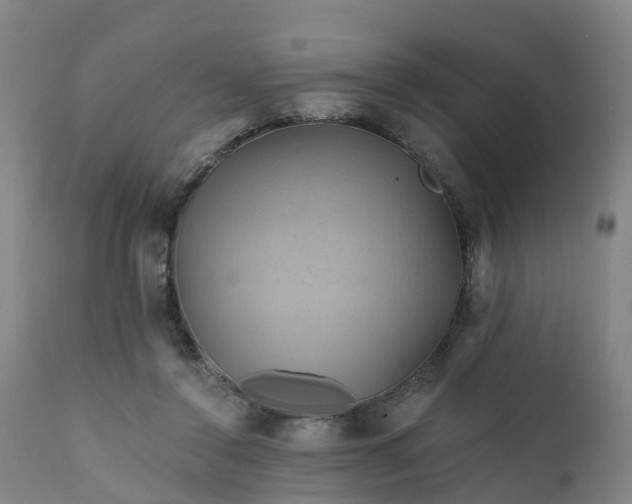 X0000111240356200907091405