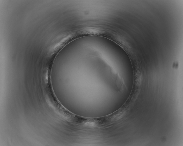 X0000111240358200907091405