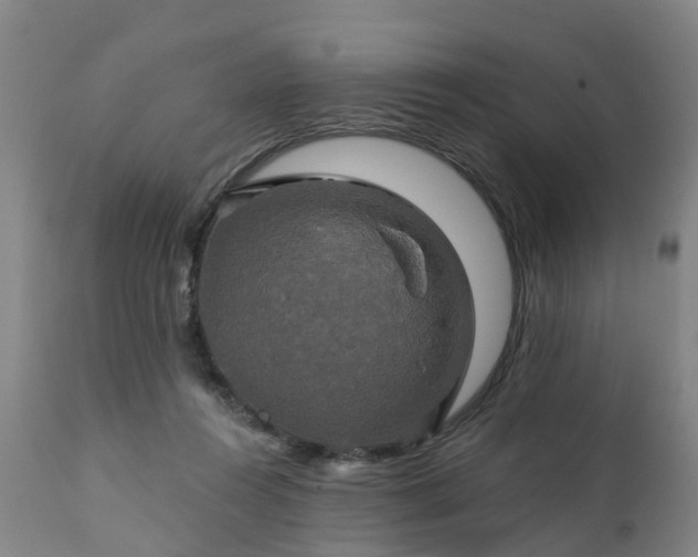 X0000111240360200907091405