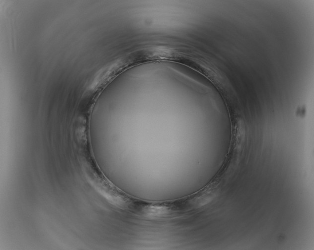 X0000111240361200907091405