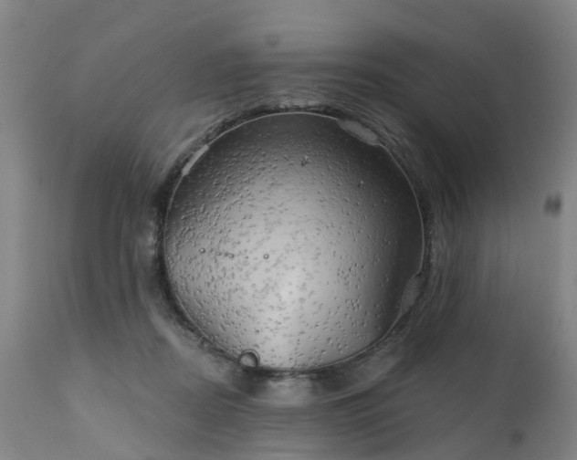 X0000111240362200907091405