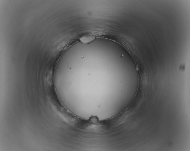 X0000111240364200907091405