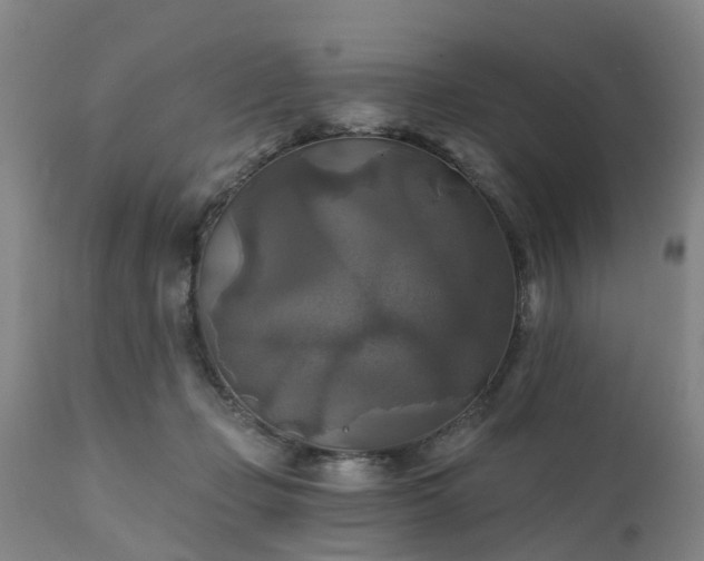 X0000111240365200907091405