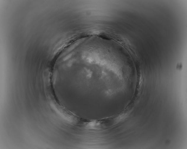 X0000111240366200907091405