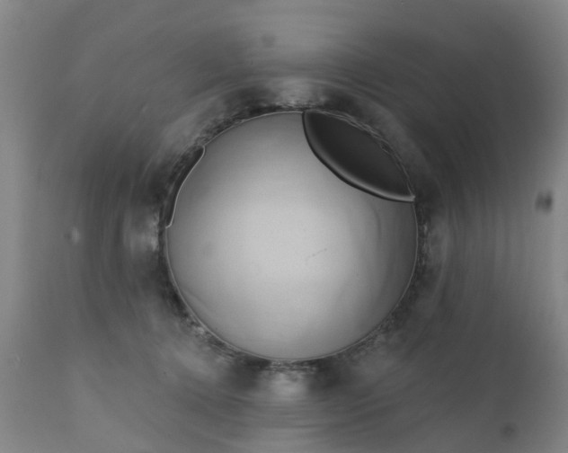 X0000111240368200907091405