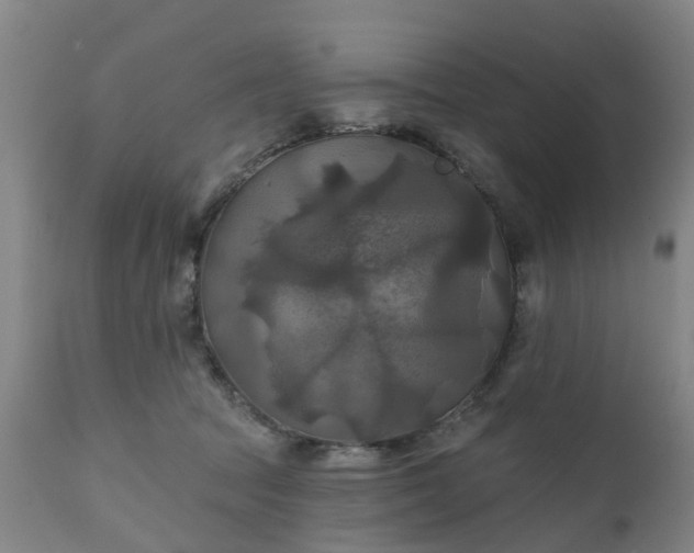 X0000111240369200907091405