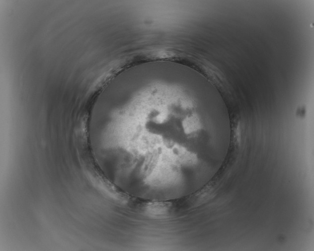 X0000111240373200907091405