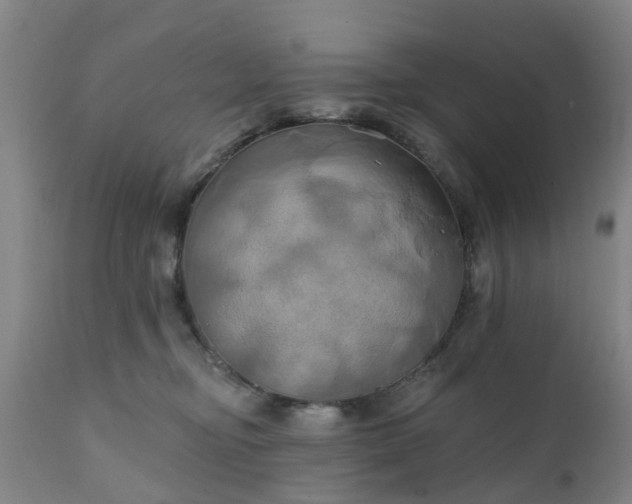 X0000111240374200907091405