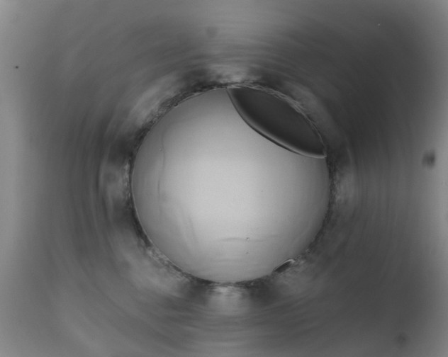 X0000111240376200907091405