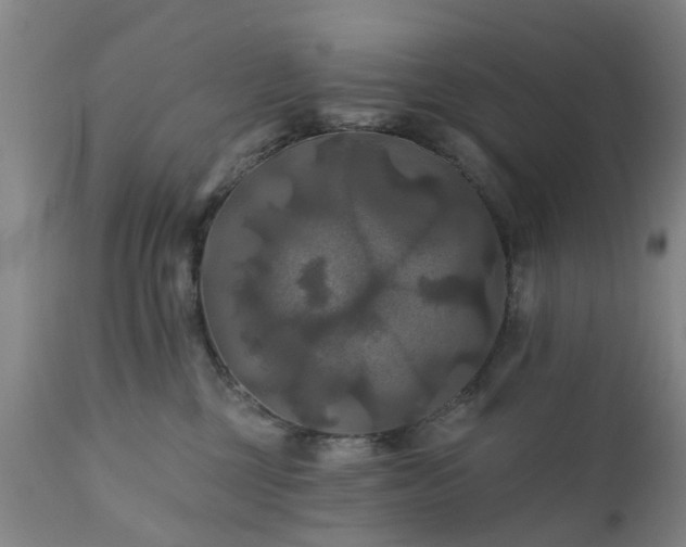 X0000111240377200907091405