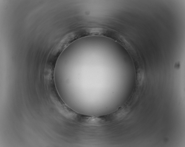 X0000111240379200907091405