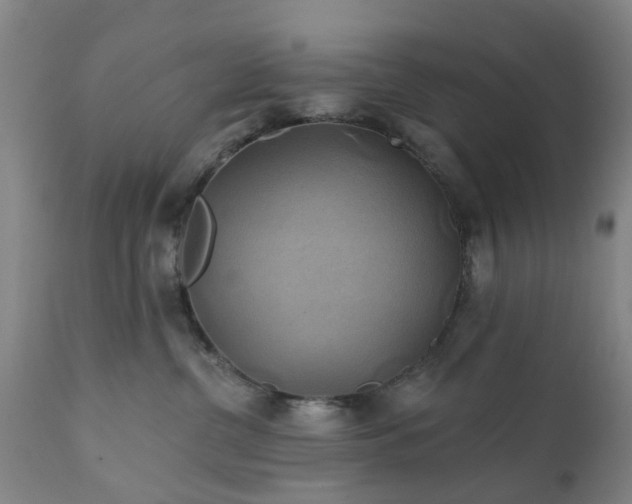 X0000111240380200907091405