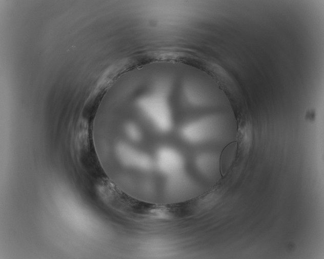 X0000111240381200907091405