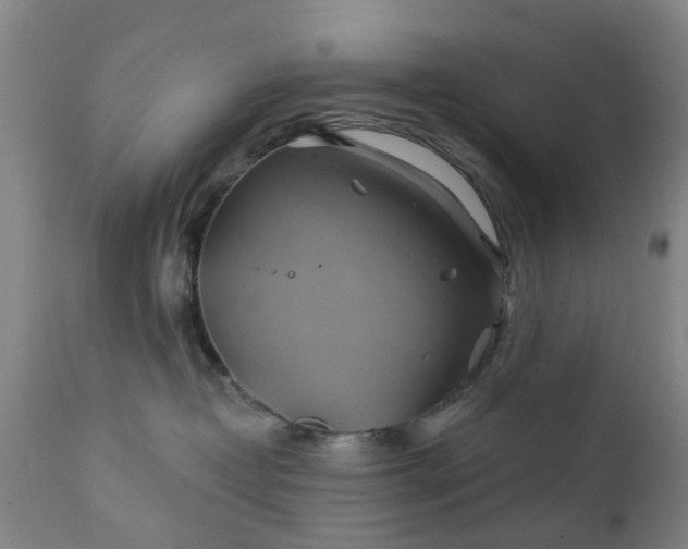 X0000111240382200907091405