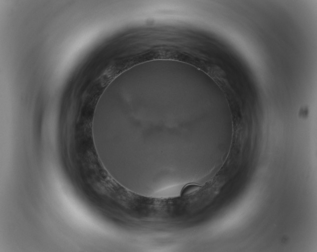 X0000111240383200907091405