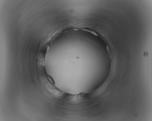 X0000111240384200907091405