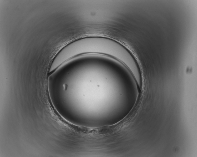 X0000111240385200907091405